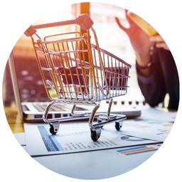 Dra. Cristina Linhares - Direito de Família e Sucessões